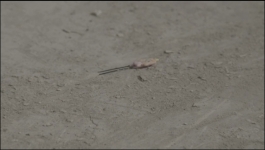 Imlie - 8th August 2023